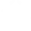 Worldwide Dstributors Icon